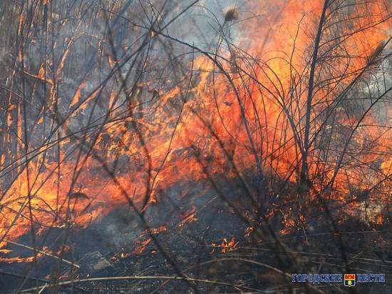 В овраге на севере Волгограда произошёл большой ландшафтный пожар