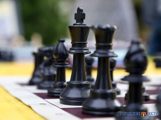 Юных волгоградских шахматистов приглашают на турнир по решению шахматных миниатюр
