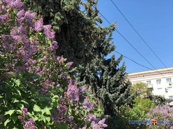 Тепло возвращается: воздух в Волгограде в пятницу прогреется до +17