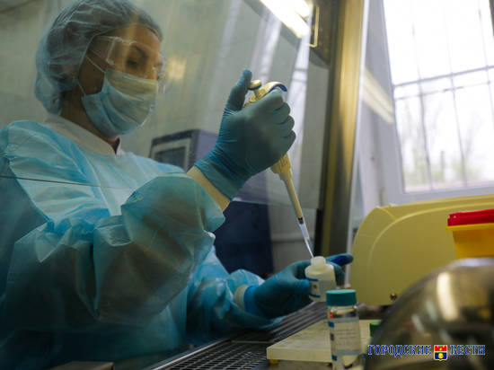 Волгоградские лаборатории по тестированию на коронавирус работают с повышенной нагрузкой