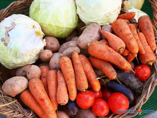 Волгоградская область заняла третье место в России по производству овощей