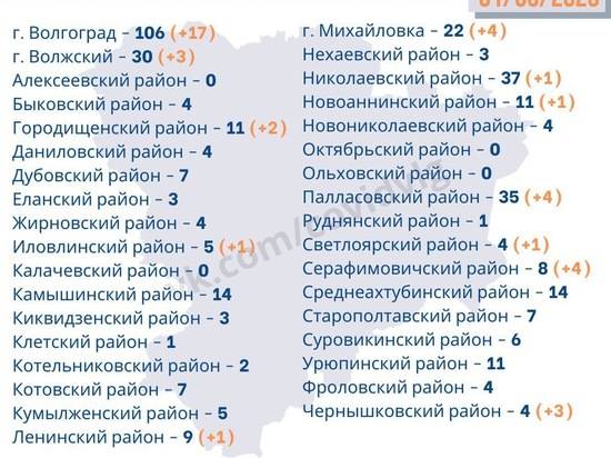 Держат оборону: в четырех районах Волгоградской области нет заболевших COVID-19