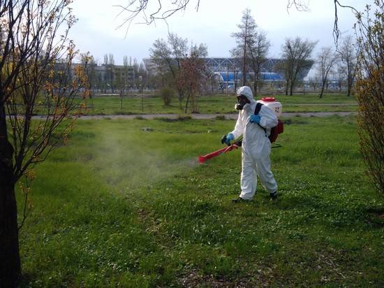 В Волгоградской области водоемы и прибрежные зоны обработают от комаров и клещей