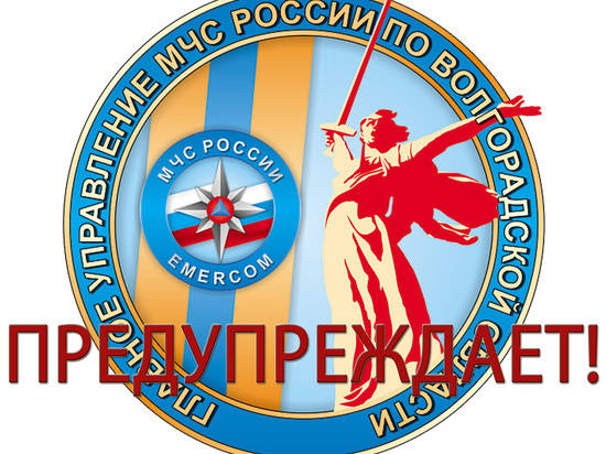 В Волгограде мошенники используют новую схему: «К вам едет ревизор!»