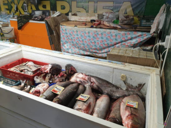 Полиция изъяла на рынке в Дзержинском районе Волгограда 500 кг рыбы от браконьеров
