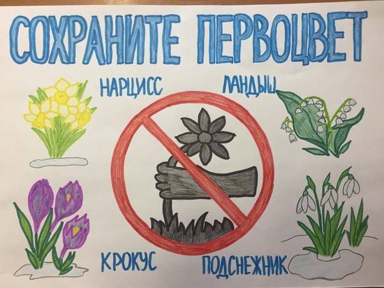 В природном парке Волгоградской области подвели итоги конкурсов рисунков и листовок
