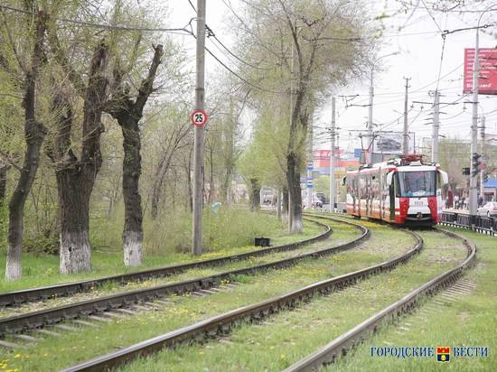 В выходные спецтроллейбус № 8 в Волгограде заменит скоростной трамвай