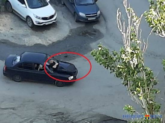 В Волгограде молодые люди устроили ралли на капоте машины