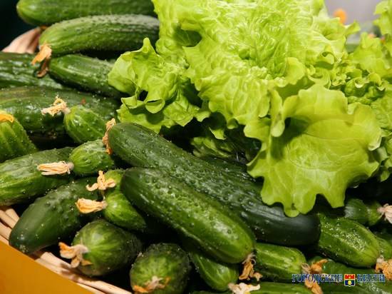 Цены на сезонные овощи в Волгоградской области стали ниже
