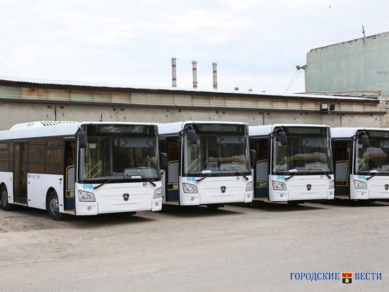 В Волгограде возобновляют работу дачные автобусы и маршрутки
