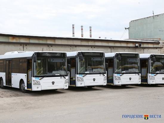Дачные автобусы вернулись на улицы Волгограда