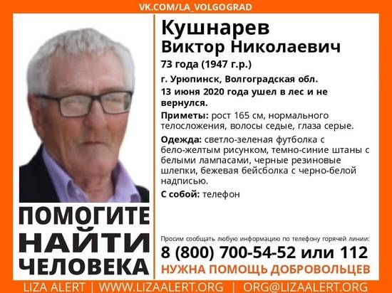 В Урюпинске 73-летний пенсионер пропал в лесу