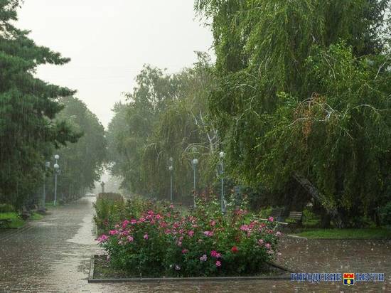 В Волгограде на неделю зарядят дожди