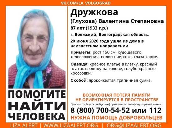 В Волжском бесследно исчезла 87-летняя пенсионерка в ярких кроссовках
