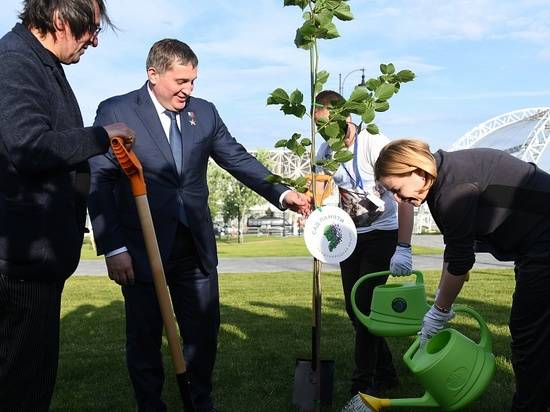 Министр культуры РФ, губернатор Волгоградской области и звёзды высадили в Волгограде «Сад памяти»