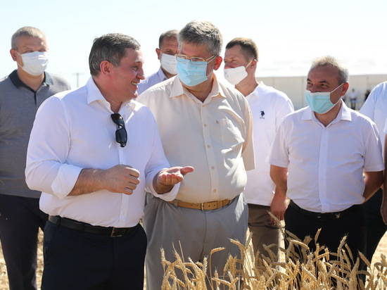 В Волгоградской области уже собрали более 500 тысяч тонн зерна