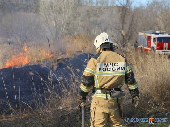 В Волгоградской области локализованы пожары в пяти районах
