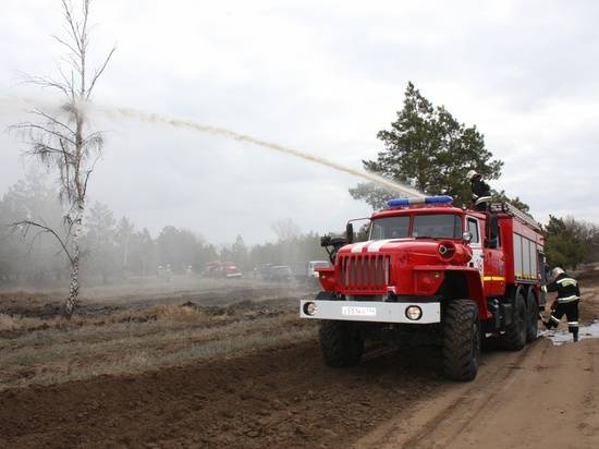 Лесные пожары в Волгоградской области потушили
