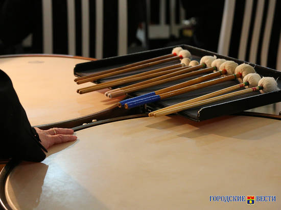 К новому учебному году для волгоградских музыкальных школ закупят новые инструменты