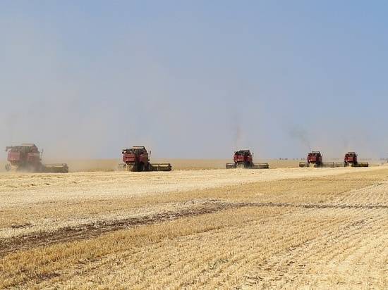 Андрей Бочаров: "Три миллиона тонн зерна мы отправили в закрома Родины"