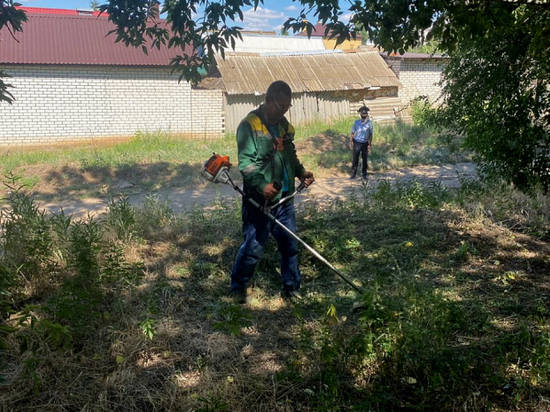 В Волгоградской области полицейские уничтожают дикорастущую коноплю