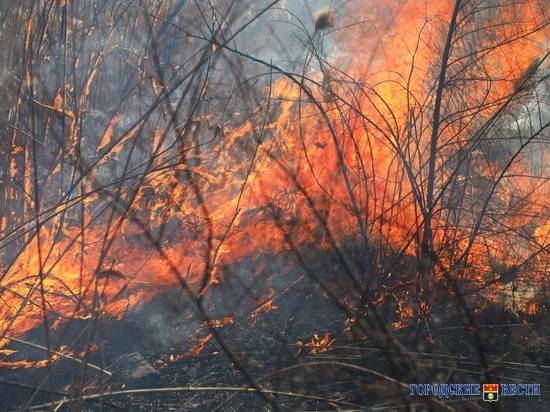 На юге Волгограда неподалеку от санатория произошел пожар