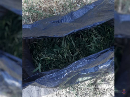 Под Волгоградом у дубовчанина нашли пакет с марихуаной