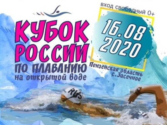 Волгоградские пловцы на открытой воде отправились на Кубок России