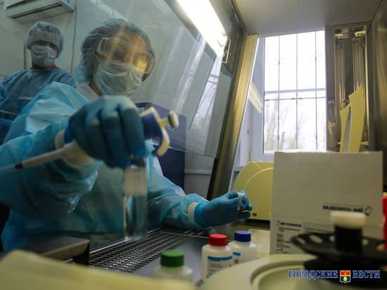 «13 августа, ситуация сейчас» в Волгограде, стране и в мире: все новости о коронавирусе онлайн