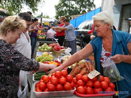 В Волгограде подешевели помидоры, огурцы и лук