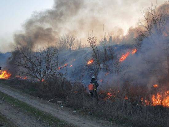 За сутки в Волгоградской области 38 раз горела трава и 10 раз мусор