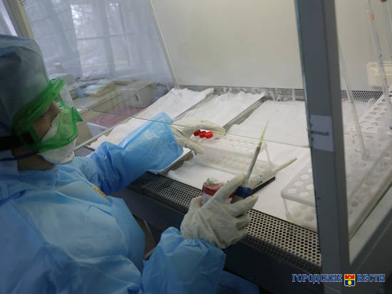 В Волгоградском регионе изучили полмиллиона тестов на коронавирус