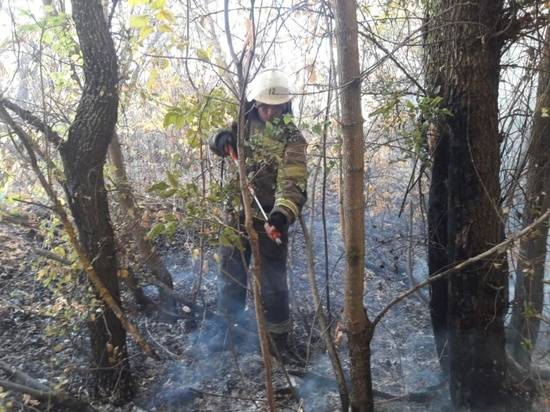 Три района в Волгоградской области борются с природными пожарами