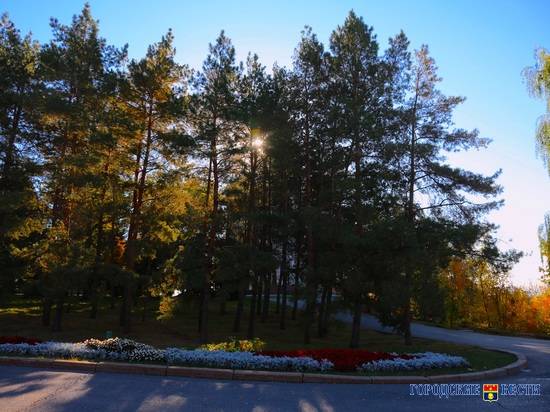 Тёплый солнечный четверг ожидает Волгоград: воздух прогреется до +22 градусов.