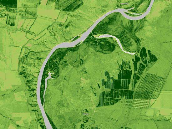 В Волгоградской области определили места для посадки лесов с помощью снимков из космоса