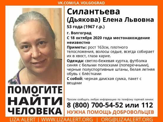В Волгограде разыскивают пропавшую 53-летнюю Елену Силантьеву