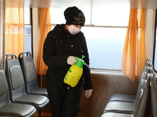 В Волгограде с 5 ноября прекращают работу теплоходы до острова Сарпинского