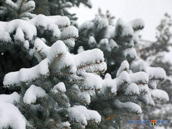 В Волгограде в выходные ожидаются снег и мороз -2 градуса