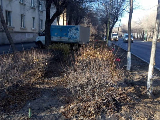 В Волгоградской области «газель» сбила 11-летнюю девочку