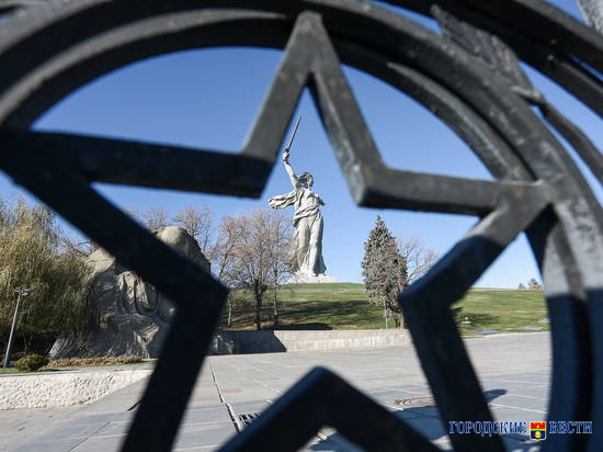 В Волгограде поисковики провели памятную акцию в День Неизвестного Солдата