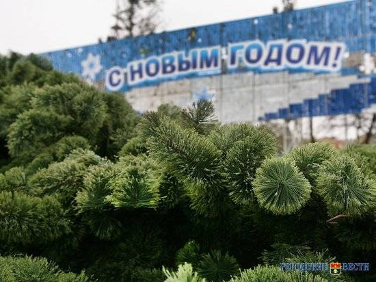 Волгоградская облдума поддержала решение губернатора сделать 31 декабря выходным