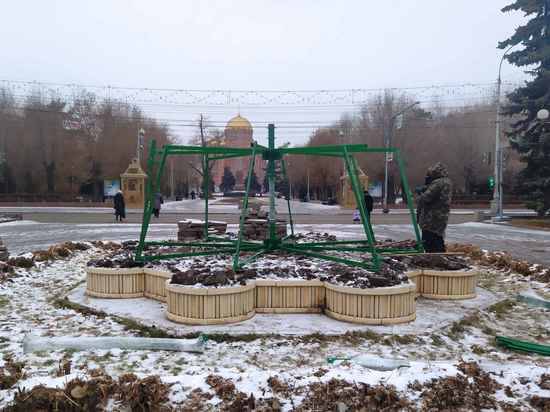В Волгограде на Аллее Героев появится новогодняя ель