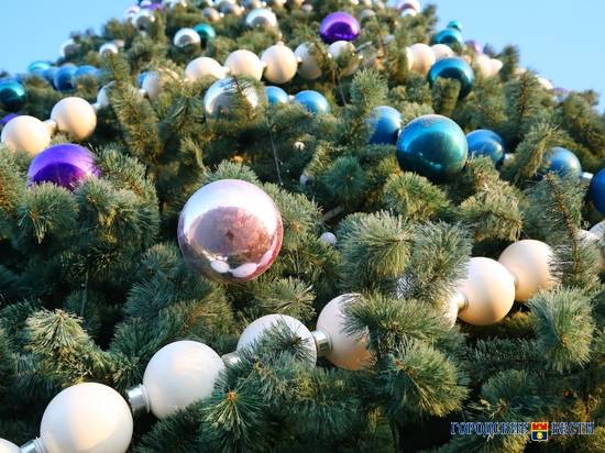Волгоградцам напомнили о безопасности при украшении новогодней ёлки