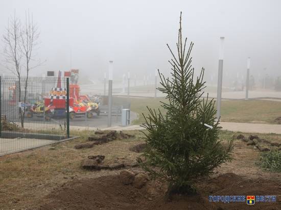 В Волгограде и области ожидаются туман и снег