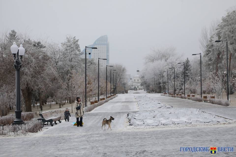 Мокрый снег и метель при +2 ждут в Волгограде 3 марта