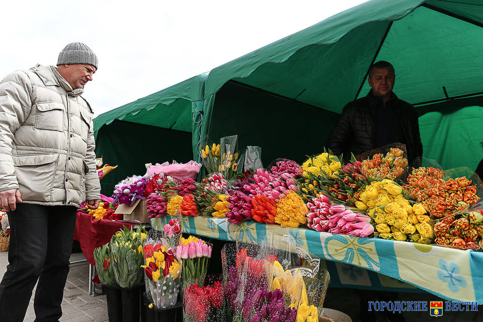 В Волгоградской области прошел рейд по сохранению первоцветов