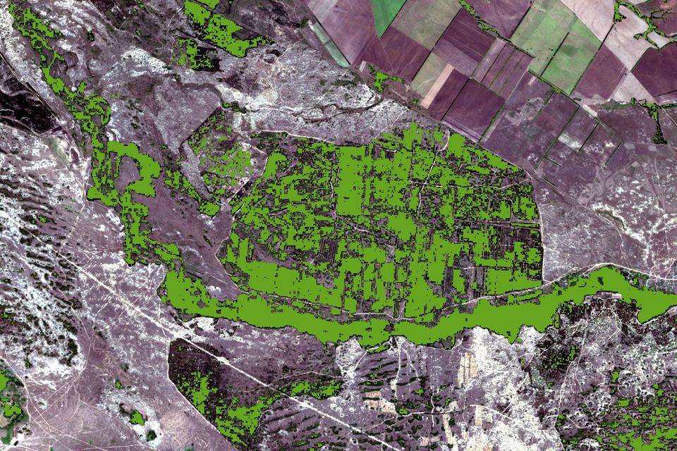В Волгоградской области 113 тысяч гектаров леса сняли из космоса