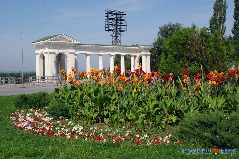 Около 3000 деревьев и кустарников высадят в городе-спутнике Волгограда