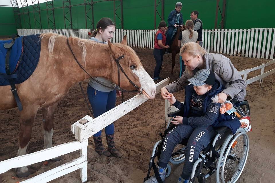 Воспитанники волгоградских соцучреждений поправляют здоровье с помощью лошадей