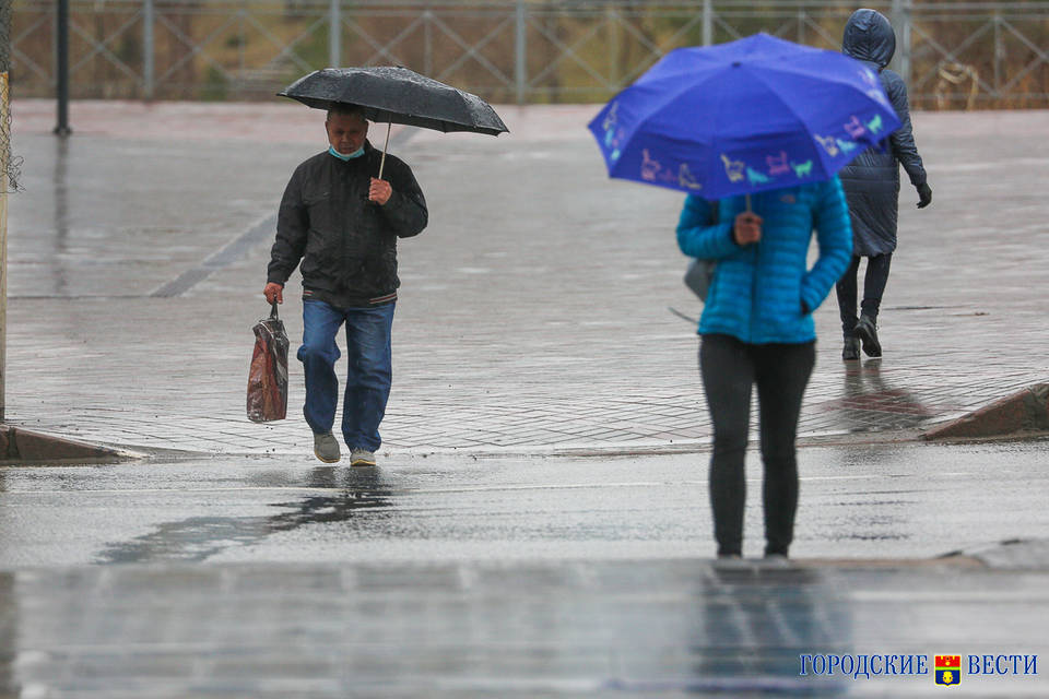 Небольшой дождь при +17 ожидается в понедельник в Волгоградской области